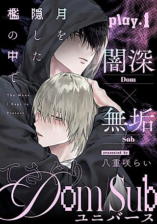Cover image for the manga called The Moon I Kept to Protect