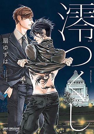 Cover image for the manga called Miotsukushi