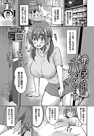 Cover image for the manga called Ane no Inumani Hametakute