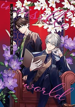 Cover image for the manga called Invisible World