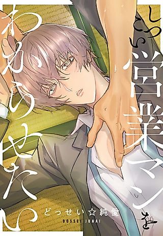 Cover image for the manga called Teaching the Persistent Salesman a Lesson