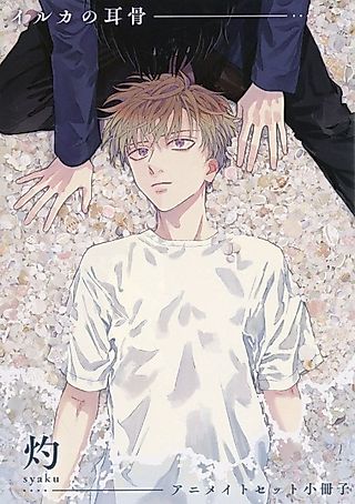 Cover image for the manga called Iruka no Jikotsu