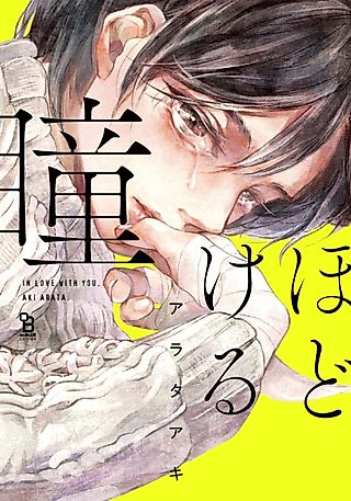 Cover image for the manga called Hodokeru Hitomi