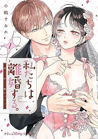 Cover image for the manga called We're Getting Divorced: A Deep & Sweet Connection...