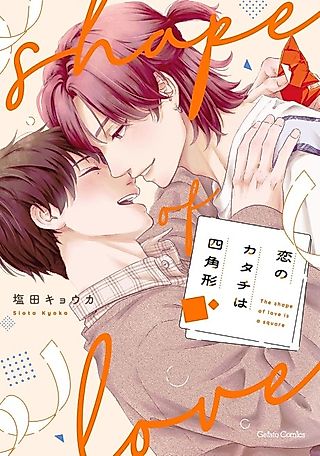 Cover image for the manga called Koi no Katachi wa Shikkakei
