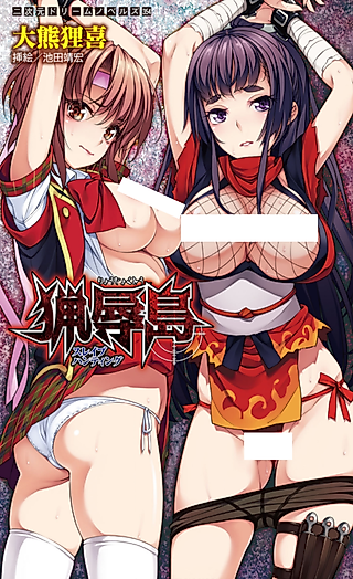 Cover image for the novel called Ryoujokutou: Slave Hunter