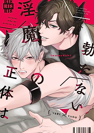 Cover image for the manga called The True Nature of the Impotent Incubus