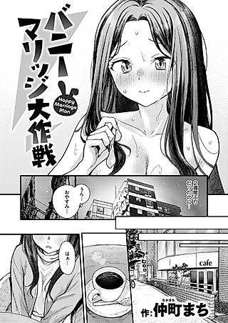 Cover image for the manga called Bunny Marriage Daisakusen