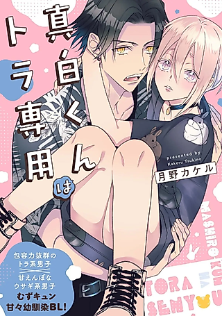 Cover image for the manga called Mashiro-kun wa Tora Senyou