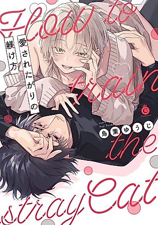 Cover image for the manga called How to train the stray cat