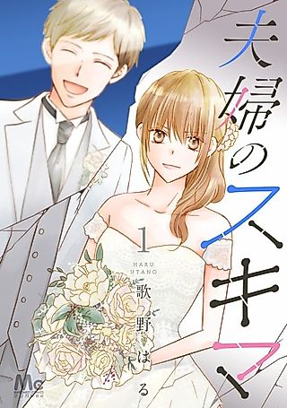 Cover image for the manga called Fuufu no Sukima