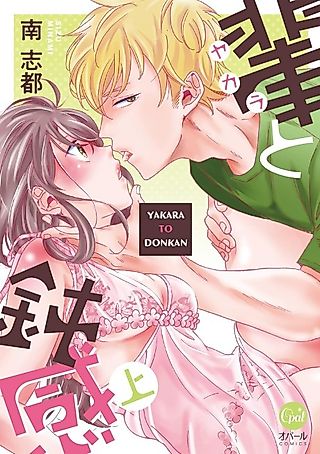 Cover image for the manga called The Riff-Raff and the Airhead