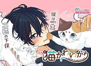 Cover image for the manga called Neko Kawaigari