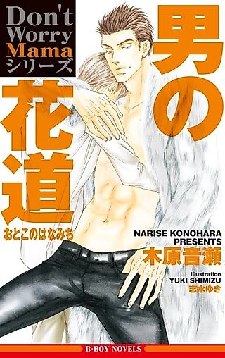 Cover image for the novel called Don't Worry Mama Series