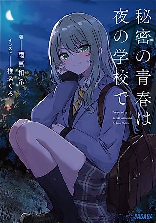 Cover image for the novel called Himitsu no Seishun wa Yoru no Gakkou de