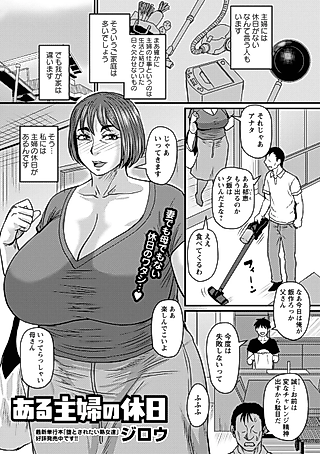 Cover image for the manga called Aru Shufu no Kyuujitsu