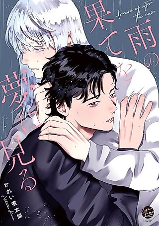 Cover image for the manga called After the Rain, I See You in a Dream