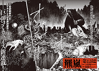Cover image for the manga called The Bear Storm
