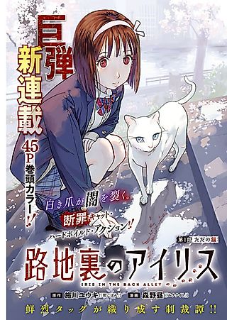 Cover image for the manga called Iris in the Back Alley