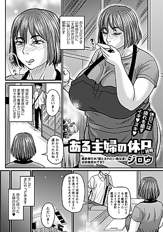 Cover image for the manga called Aru Shufu no Kyuujitsu: Zoku-hou