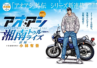 Cover image for the manga called Aoashi: Shounan True Lies