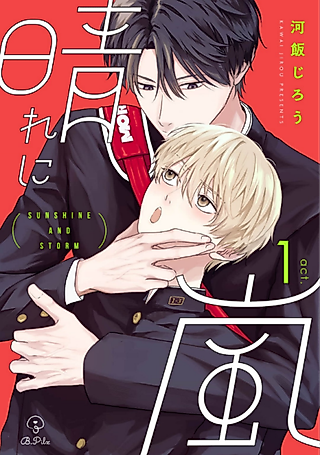 Cover image for the manga called Sunshine and Storm
