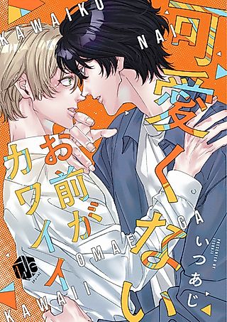 Cover image for the manga called Kawaikunai Omae ga Kawaii