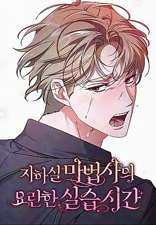 Cover image for the manhwa called The Basement Wizard's Noisy Practice Time
