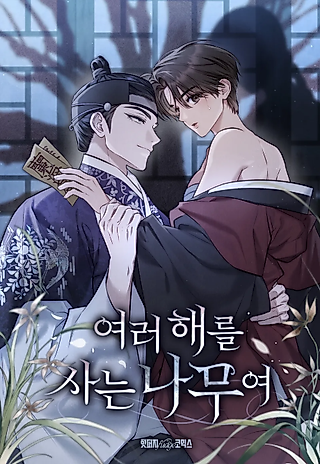 Cover image for the manhwa called O Tree of Many Years