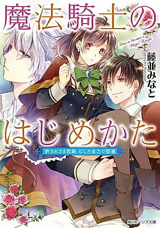 Cover image for the novel called Mahou Kishi no Hajimekata Yurusa Rezaru Koiji, Mushiro Zenryoku de Kaihi