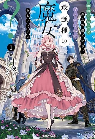 Cover image for the novel called Tekikoku ni Totsuide Koritsumu En desu ga, Douyara Watashi wa Saikyoushu no Majorashii desu yo?