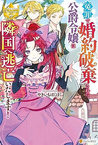 Cover image for the novel called Enzai de Konyaku Haki Sareta Koushaku Reijou wa Ringoku e Toubou Itashimasu!