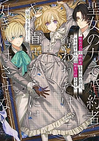 Cover image for the novel called Seijo no Chikara de Konyakusha wo Ubawaretakedo, Yarinaosu kara ni wa Sukini wa Sasenai