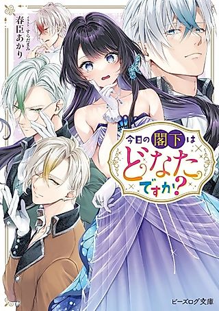 Cover image for the novel called Kyou no Kakka wa Donata desu ka?