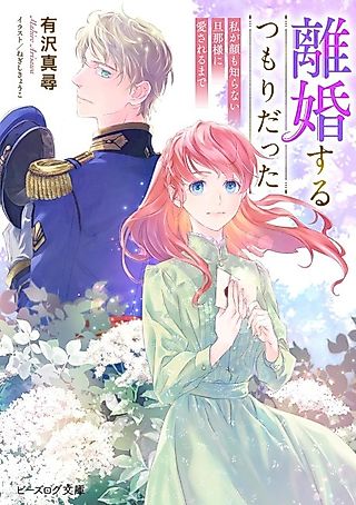 Cover image for the novel called Rikon Suru Tsumori datta.
