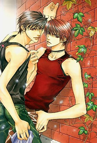 Cover image for the manga called Double Face (YAMANE Ayano)