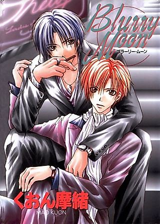Cover image for the manga called Расплывчатая луна