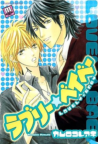 Cover image for the manga called Hanky Panky
