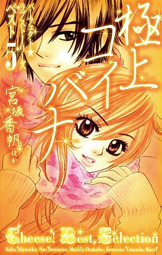 Cover image for the manga called The Best Love Stories: Perfect Love Stories ☆ Top 5