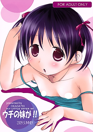 Cover image for the other called My Little Sister Is!!