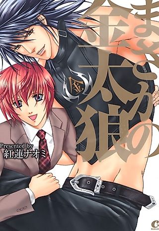 Cover image for the manga called The Incredible Kintaro