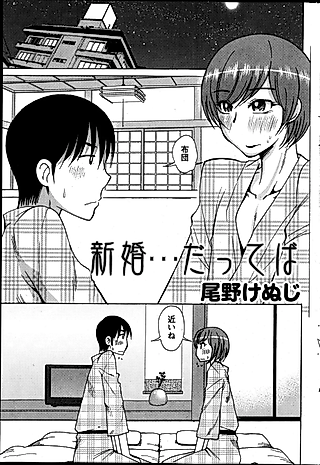 Cover image for the manga called Newlyweds... Kind Of