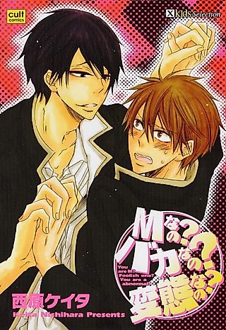 Cover image for the manga called Are You A Masochist? Are You An Idiot? Are You A Pervert?