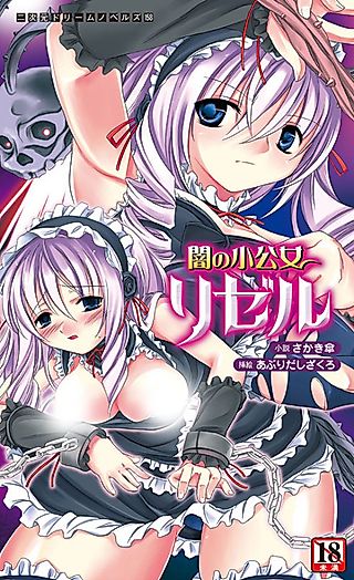 Cover image for the novel called Yami no Shoukoujo Lyzelle