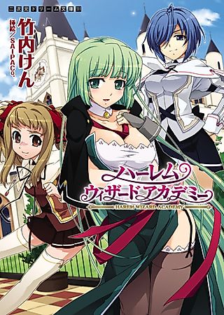 Cover image for the novel called Harem Wizard Academy