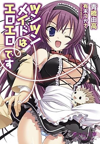 Cover image for the novel called Tsun Tsun Maid wa Ero Ero desu