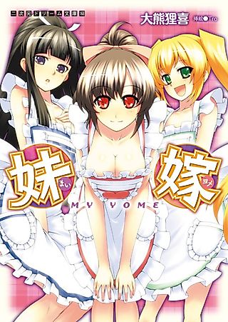 Cover image for the novel called Mai Yome