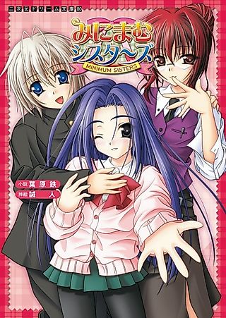 Cover image for the novel called Minimum Sisters