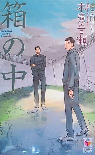 Cover image for the novel called In the Box