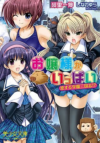 Cover image for the novel called Ojousama ga Ippai: Koisuru Gakuen Sangokushi!?